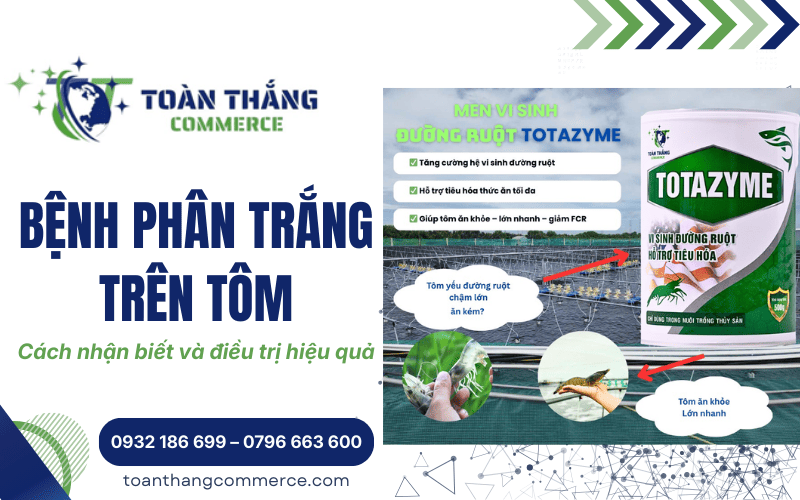 bệnh phân trắng trên tôm