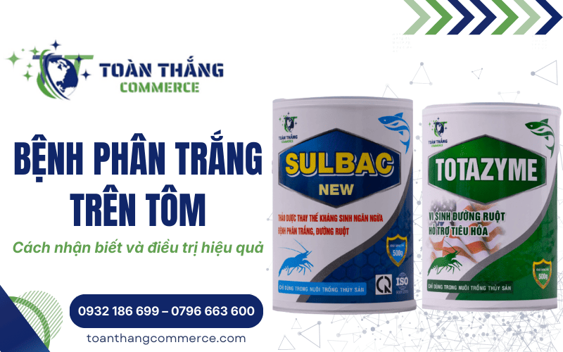 bệnh phân trắng trên tôm
