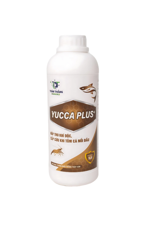 YUCCA PLUS+