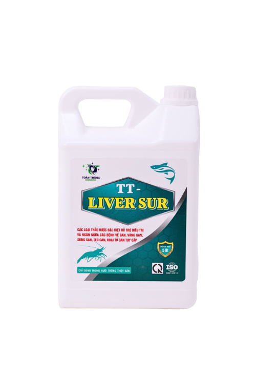 TT – LIVER SUR